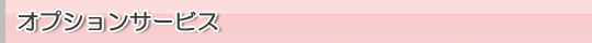 オプションサービス
