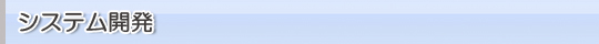 システム開発
